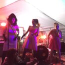 PeteFest 2016 (973510)