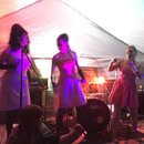 PeteFest 2016 (973556)