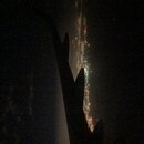 Traveling from Tblisi to Kathmandu (973793)