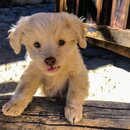 Shangri La, Deqen, China