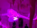 Visiting Meow Wolf with Bao (974444)