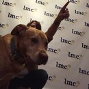 Prepping for LMC County Convention (974570)