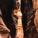 Petra with Ben, Felipe, Wan Shan, and Bill (975180)