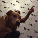 Prepping for LMC County Convention (975260)