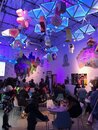 Visiting Meow Wolf with Bao (975341)