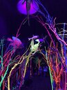 Visiting Meow Wolf with Bao (975274)