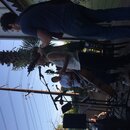 American Dreamer at Cherrywood (975769)