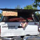 Random Photos 2016 (975773)