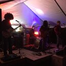 PeteFest 2016 (975916)