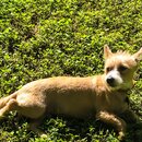 Saying Goodbye to Atters (976032)