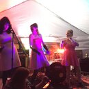 PeteFest 2016 (976073)