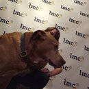 Prepping for LMC County Convention (976211)