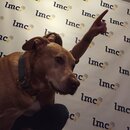 Prepping for LMC County Convention (988192)