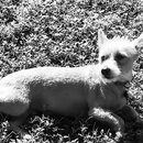 Saying Goodbye to Atters (989420)