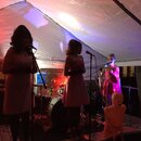 PeteFest 2016 (989944)