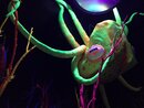 Visiting Meow Wolf with Bao (990099)