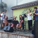 American Dreamer at Cherrywood (990556)