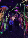 Visiting Meow Wolf with Bao (991236)