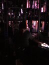 Visiting Meow Wolf with Bao (991289)