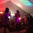 PeteFest 2016 (991854)