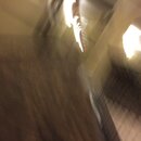 LP Texas State Convention 2016 (992090)