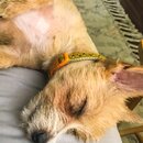 Saying Goodbye to Atters (992313)