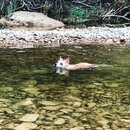 Atti and Rachel at Campbell's Hole (993371)