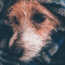 Atti Eating with Abbi (994533)