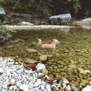 Atti and Rachel at Campbell's Hole (994672)