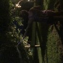 Fireworks at the Graves' Ranch (994527)