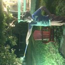 Fireworks at the Graves' Ranch (994350)