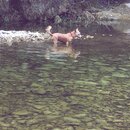 Atti and Rachel at Campbell's Hole (994650)