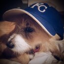 Atti Modeling a Royals Cap (994159)