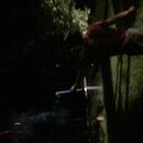 Fireworks at the Graves' Ranch (993759)