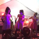 PeteFest 2016 (993100)