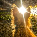 Atticus Finch! (993813)