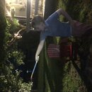 Fireworks at the Graves' Ranch (993816)