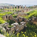 Group Trip to Jerash