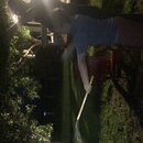 Fireworks at the Graves' Ranch (993489)