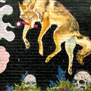 Trip to Boise with Timmy (995544)