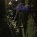 Fireworks at the Graves' Ranch (995527)