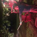 Fireworks at the Graves' Ranch (995711)