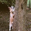 Atticus Finch! (996776)