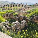 Group Trip to Jerash (995933)