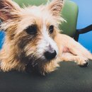 Atti Exploring the Office (995569)