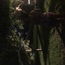 Fireworks at the Graves' Ranch (997353)