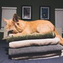 Atticus Finch! (997056)