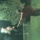 Fireworks at the Graves' Ranch (997015)