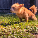 Wan Shan Summer Visit (997840)