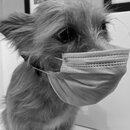 Atti Says Wear a Mask